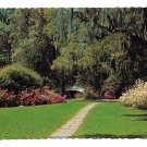 Southern Garden Azaleas Spanish Moss CH Ruth Photo Vtg Postcard 4X6 Southern Garden Azaleas Spanish Moss CH Ruth Photo Vtg Postcard 4X6