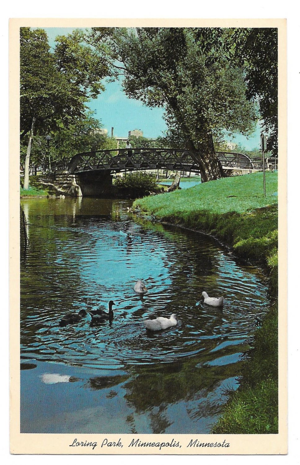 MN Loring Park Minneapolis Minnesota Vtg Postcard Duck Pond