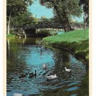 MN Loring Park Minneapolis Minnesota Vtg Postcard Duck Pond