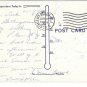 Royal Poinciana Tree Florida Vintage Linen Postcard 1954