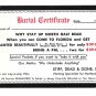 Humor Burial Certificate Get Planted in Florida Comic Postcard