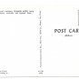 Legend of Spanish Moss Cypress Trees Vintage Postcard