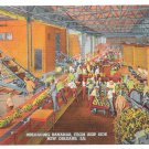 Unloading Bananas Ship Side New Orleans Vintage Postcard Unloading Bananas Ship Side New Orleans Vintage Postcard