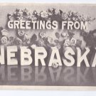 Greetings from Nebraska 1985 Vintage Large Letter Postcard