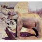 Philadelphia Zoological Gardens Elephant Zoo Postcard