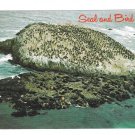 California Monterey Seal Rock Birds Sea Lions 17 mile Drive Postcard