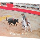 Mexico Bullfight Tijiuana Bullring Matador CA Baja Vintage Postcard
