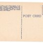 WY Yellowstone Park Grand Canyon Grand View Vtg Haynes Postcard