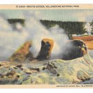 WY Yellowstone National Park Grotto Geyser Vintage Haynes Postcard