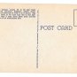 WY Yellowstone National Park Grotto Geyser Vintage Haynes Postcard
