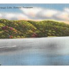 TN Watauga Lake Eastern Tennessee Vntg Linen Postcard