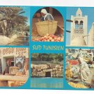 Africa Tunisia Sud Tunisien Multiview Vintage Postcard 4X6