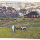 Austria Hoferhutte Monte Spinale Madonna di Campiglio Vintage Postcard