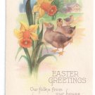 Easter Greetings Ducks Daffodils Vintage Karle Postcard