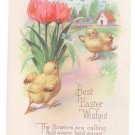 Best Easter Wishes Chicks Tulips Butterfly Vntg Karle Poem Postcard