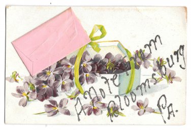 Bloomsburg PA Note Envelope Add-On Embossed Flowers Glitter Vintage Novelty Postcard