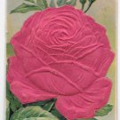 Heartiest Congratulations Large Silk Covered Red Rose Embossed Novelty Postcard Heartiest Congratulations Large Silk Covered Red Rose Embossed Novelty Postcard