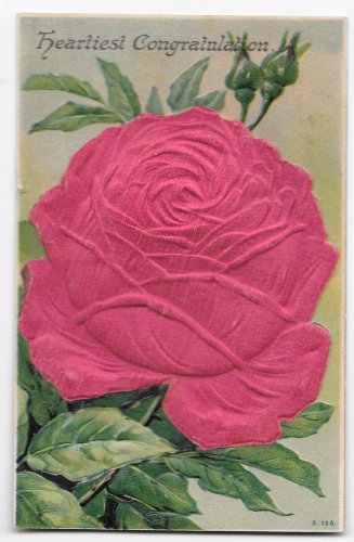 Heartiest Congratulations Large Silk Covered Red Rose Embossed Novelty Postcard