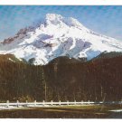 Oregon Mt Hood from the Loop Highway Vintage Postcard Mike Roberts Oregon Mt Hood from the Loop Highway Vintage Postcard Mike Roberts