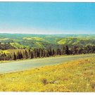 Eastern Oregon Blue Mountains Hwy 30 Deadman Pass View Vintage Postcard