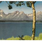 Grand Teton National Park Lake Jackson Vintage Postcard Muench Photo