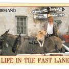 Ireland Life in the Fast Lane Mule Dog Signpost John Hinde 4X6 Postcard Nagele Photo Ireland Life in the Fast Lane Mule Dog Signpost John Hinde 4X6 Postcard Nagele Photo