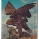 3D Lenticular Hawk Bird of Prey Raptor Souvenir of Atlantic City NJ Postcard