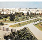 Tunisia Tunis Park Garden Jardin Habib Thameur 1965 Postcard 4X6 Tunisia Tunis Park Garden Jardin Habib Thameur 1965 Postcard 4X6
