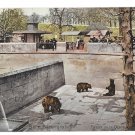 Switzerland Bern Barengraben Fosse aux Ours Bear Pit Park A Gwinner Postcard Switzerland Bern Barengraben Fosse aux Ours Bear Pit Park A Gwinner Postcard