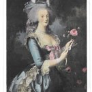 Marie Antoinette Versailles Portrait Mme Vigee Lebrun Painting Vintage Postcard