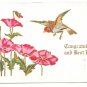 Congratulations Best Wishes Bird Poppies Embossed Gilded 1907 Rose Co Postcard