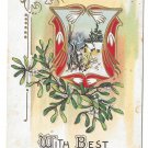 Best New Years Wishes Snow Drops Mistletoe Cottage Scene Embossed 1917 Postcard
