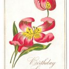 Happy Birthday Red Tulips Vintage Embossed Postcard Flowers Happy Birthday Red Tulips Vintage Embossed Postcard Flowers