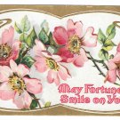 Vintage Greetings Postcard May Fortune Smile on You Embossed Wild Roses Gilt