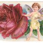 Fantasy Butterfly Child Red Rose Artists Palette Message True Love 1908 Postcard