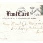 New Years Fantasy Flower Face in Rose Gnome 1906 1907 Postcard Embossed UDB