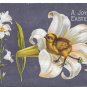 Easter Chick in a Lily 1910 Embossed Postcard