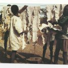 Africa Drying Snake Skins IRIS Afrique en Couleurs Vtg Postcard 4X6