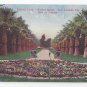 CA Los Angeles Lincoln Park Winter Scene Flower Bed Pansies Vintage Postcard Van Ornum
