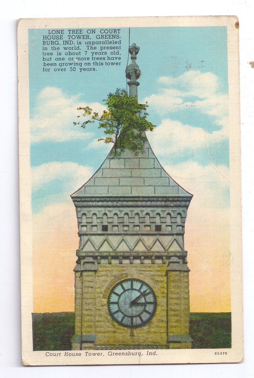 Court House Clock Tower Tree Greensburg IN 1939 Curteich Postcard