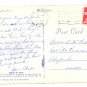 Hawaiian Red Ginger Flower 1969 Continental Postcard 4X6