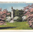 Valley Forge National Park New Jersey Monument Dogwoods Vintage PA Postcard