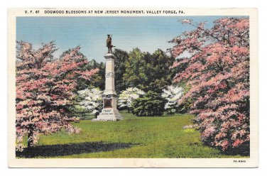 Valley Forge National Park New Jersey Monument Dogwoods Vintage PA Postcard