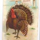 Thanksgiving Proclamation Turkey Embossed Gold Gilded Lettering Vintage Postcard