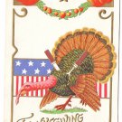 Patriotic Thanksgiving Embossed Postcard Turkey Knife Fork Powls Valley Doane DPO Cancel