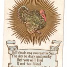 Thanksgiving Turkey Sunburst Poem Postcard Embossed Gold Gilt Vintage 1907 The Rose Co