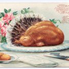 Roast Turkey with Tail Feathers Table Setting Embossed Vintage Thanksgiving Greetings Postcard