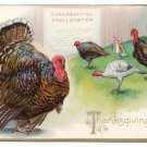 Vintage Thanksgiving Postcard Turkeys Proclamation Embossed Tuck Series 123
