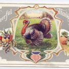 Patriotic Turkey Stars and Stripes Shield Vintage Embossed Thanksgiving Postcard Winsch back
