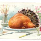 Roast Turkey Tail Feathers Embossed Vintage Tuck Thanksgiving Postcard AS RJ Wealthy